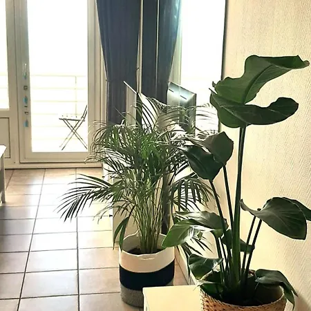L'oo Apartment